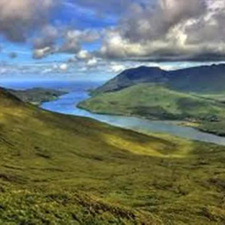 فندق مبيت وإفطار Griffin 3*