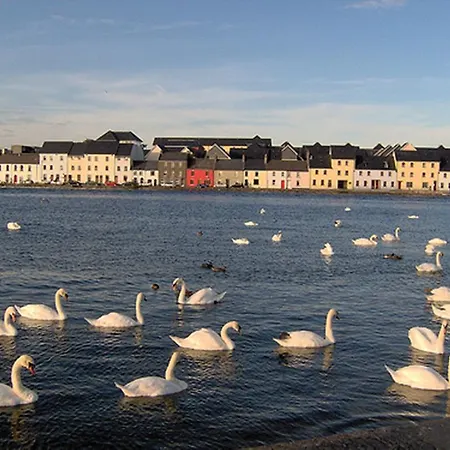 Nocleg ze śniadaniem Griffin 3*