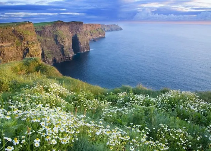 Griffin לינה וארוחת בוקר גלוואיי