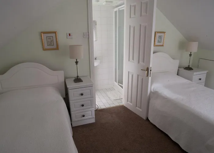 Griffin לינה וארוחת בוקר גלוואיי