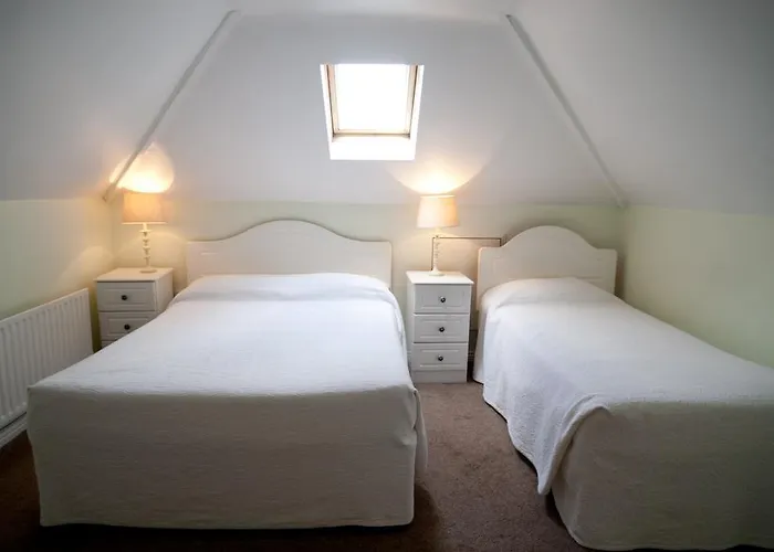 לינה וארוחת בוקר Griffin גלוואיי