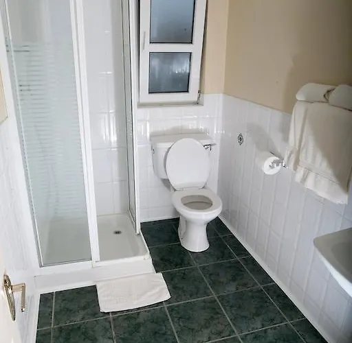 Griffin גלוואיי