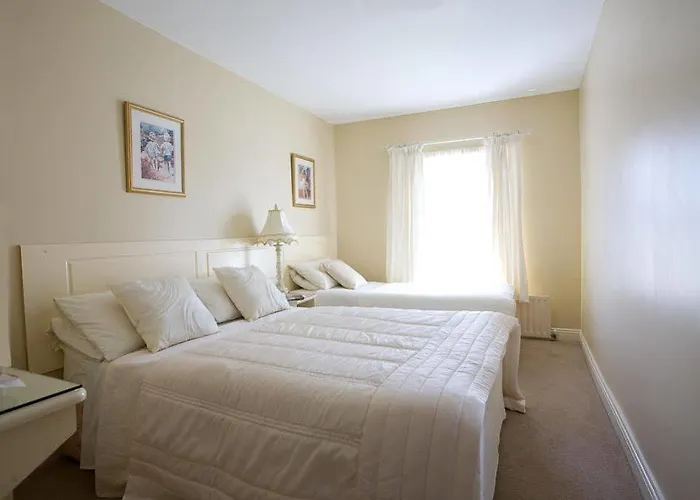 לינה וארוחת בוקר Griffin גלוואיי